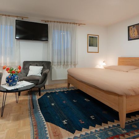 Homely Apartment In The Center With Garden View Gmunden Ngoại thất bức ảnh